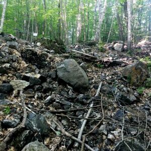 Mineral Collecting