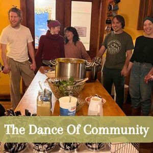 Support Earthdance with a Donation